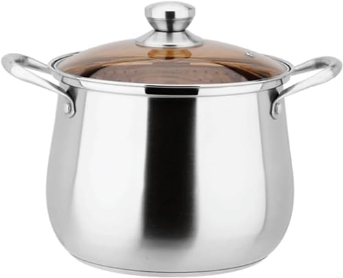 LGEOELIAS 28cm Stainless Steel Stock Pot