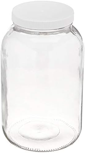 AquaNation 110mm Fermenting and Storage Lid with Liner