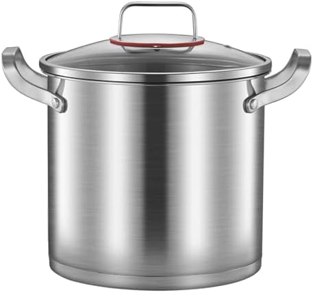 AIZYR 20cm Stainless Steel Stock Pot for Induction and Gas Stoves