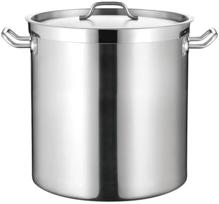 AIZYR 17L Stainless Steel Stock Pot