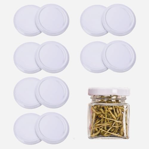 Twist-off Jar Lids for Preserving Food
