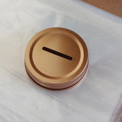 NUOBESTY Coin Slot Bank Lid 12pcs Mason Jar Canning Lid 1