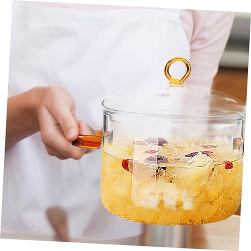 Happyyami Double-Handle Glass Stew Pot with Lid