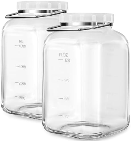 2 Pack 15 Gallon Glass Jars with Airtight Lids and Handles