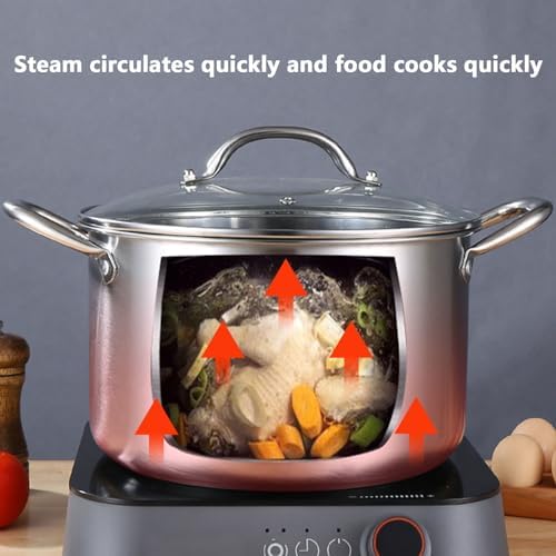 Stainless Steel Stock Pot