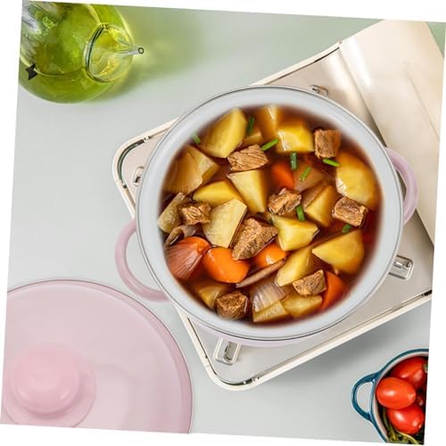 Dual-Handled Heavy-Duty Stock Pot with Lid