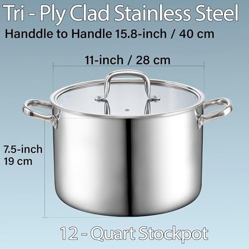 The Strongest 12-QT Stockpot