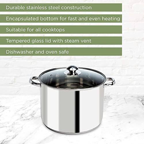 Ecolution Stainless Steel 8-Quart Stockpot by Ecolution