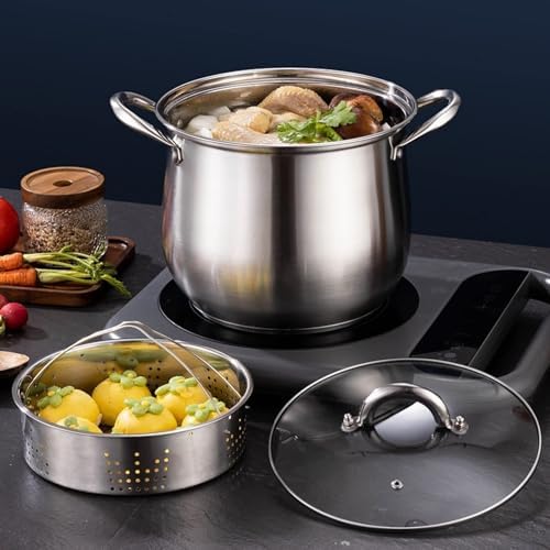Stainless Steel Stockpot with Lid Nonstick for Soups Stews Pasta 22cm