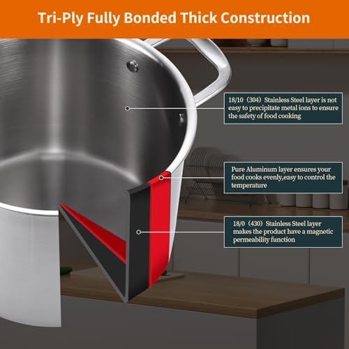 DEALERLO Tri-Ply Stainless Steel Stock Pot for Cooking
