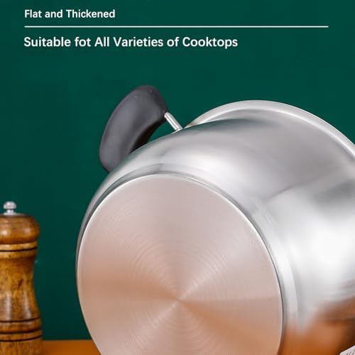 3 Quart Stainless Steel Stock Pot
