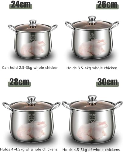 LGEOELIAS Large Deep Stock Pot with Steamer Basket and Lid
