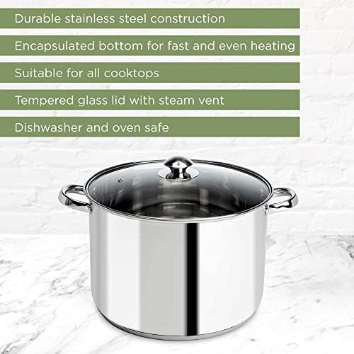 Ecolution Stainless Steel Stock Pot 12-Quart Perfect for everyday cooking