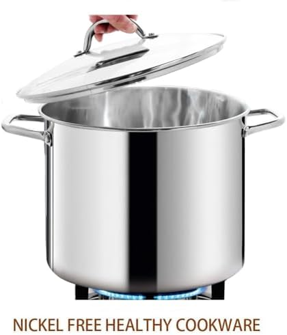HOMICHEF 16 Quart Stockpot with Glass Lid