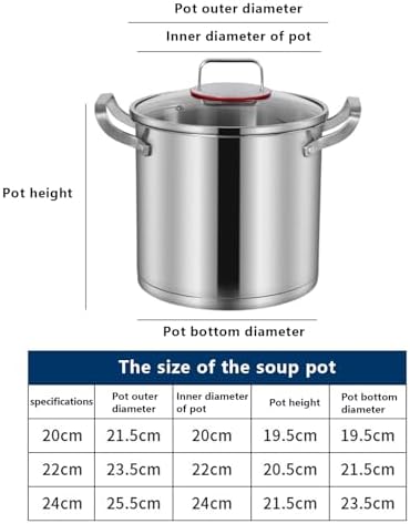 AIZYR 20cm Stainless Steel Stock Pot for Induction and Gas Stoves