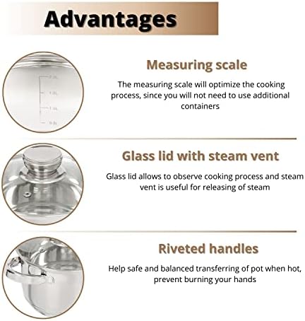 Daniks Standard stainless steel stock pot with glass lid