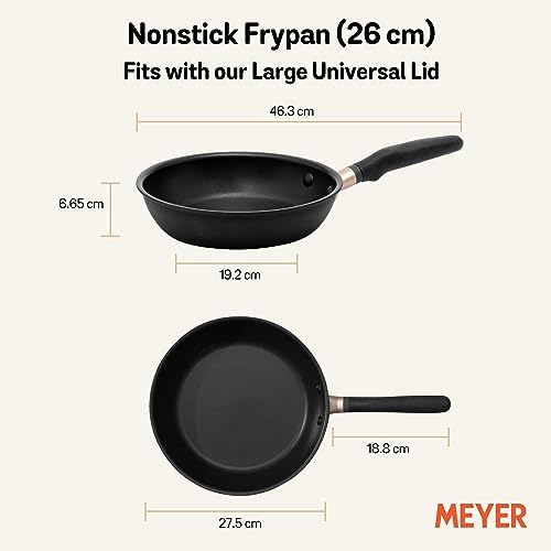 10 Nonstick Skillet for TroyForge
