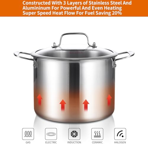 DEALERLO Tri-Ply Stainless Steel Stock Pot for Cooking