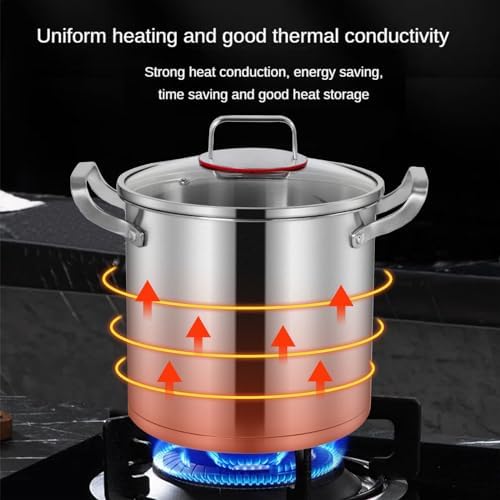 AIZYR 20cm Stainless Steel Stock Pot for Induction and Gas Stoves