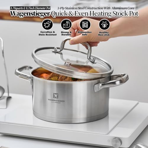 Versatile Stock Pot with Tempered Glass Lid