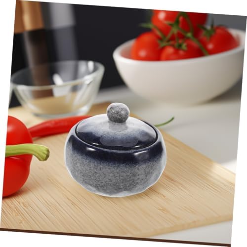 BESTOYARD Japanese Ceramic Stew Pot with Lid for Single Serving
