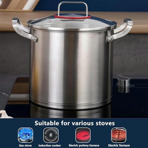 Sturdy 304 Steel Stock Pot with Glass Lid