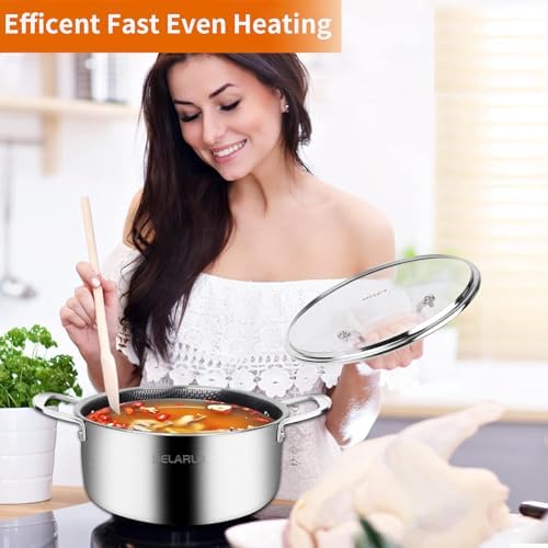DELARLO 5QT Tri-Ply Stock Pot with Lid