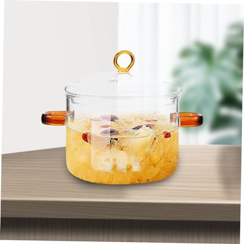 Happyyami Double-Handle Glass Stew Pot with Lid