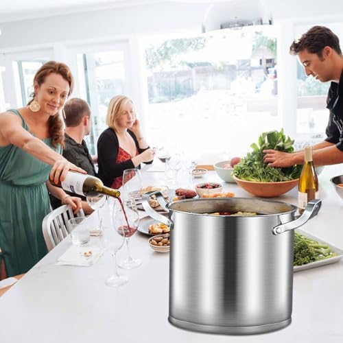AIZYR 20cm Stainless Steel Stock Pot for Induction and Gas Stoves