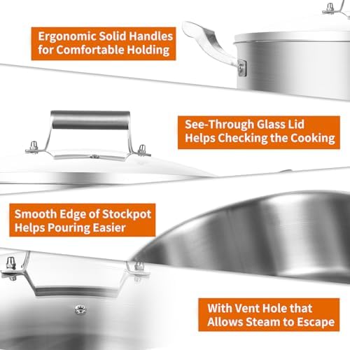 Delarlo Tri-Ply 55QT Stock Pot