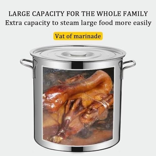 Stainless Steel Stockpot with Lid 45QT63QT