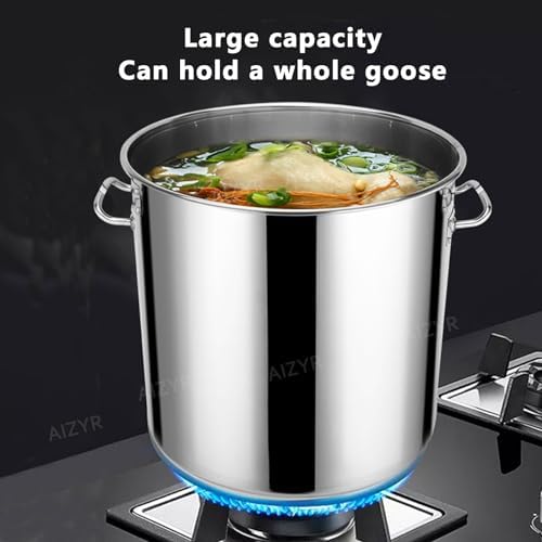 AIZYR 304 Stainless Steel Stock Pot with Lid
