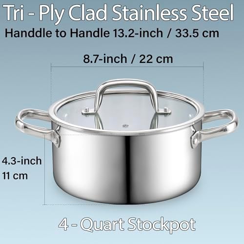 Stainless Steel 4 Quart Stockpot with Lid