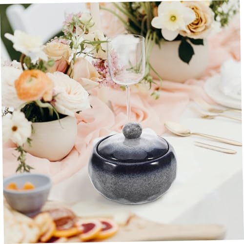 BESTOYARD Japanese Ceramic Stew Pot with Lid for Single Serving