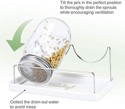 Bright Dependable Mason Jar Sprout Kit for a Lewder Wintry Sprout Journey