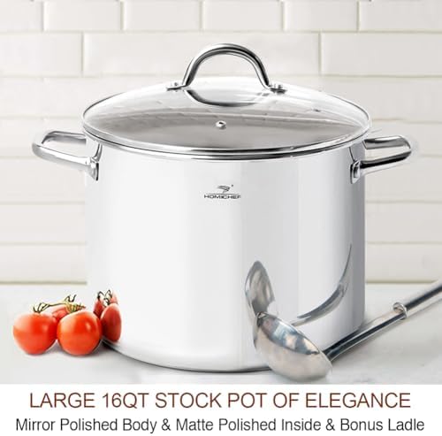 HOMICHEF 16 Quart Stockpot with Glass Lid