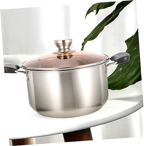 SHOWERORO Double Ear Stock Pot with Lid 1