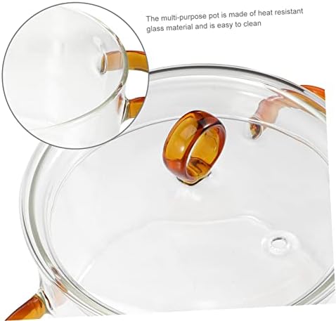 Double Handle Glass Soup Pot