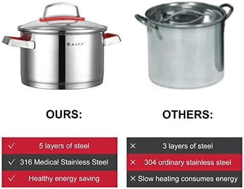 NANFANG BROTHERS 3 Quart Stainless Steel Stock Pot with Glass Lid