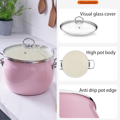 Sturdy 6-Quart Stock Pot with Lid
