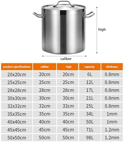 AIZYR 17L Stainless Steel Stock Pot