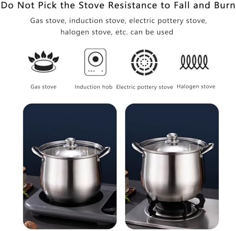 Stainless Steel Stockpot with Lid Nonstick for Soups Stews Pasta 22cm
