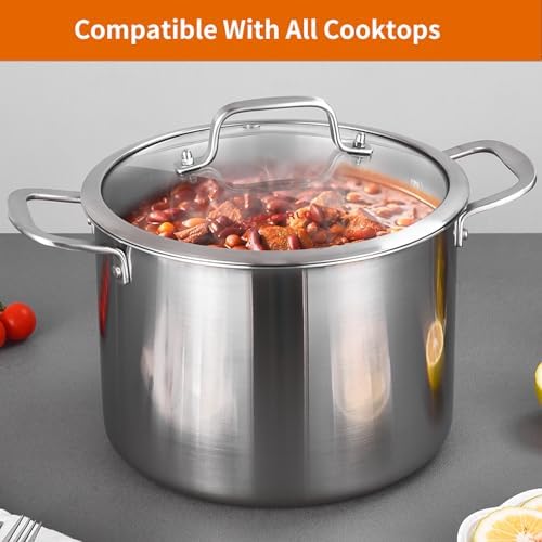DEALERLO Tri-Ply Stainless Steel Stock Pot for Cooking