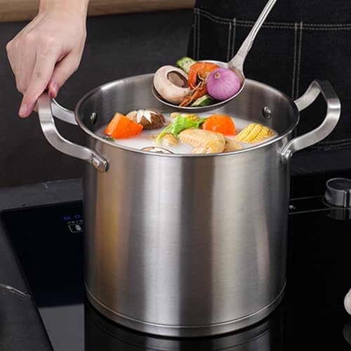 AIZYR 304 Stainless Steel Soup Pot with Lid