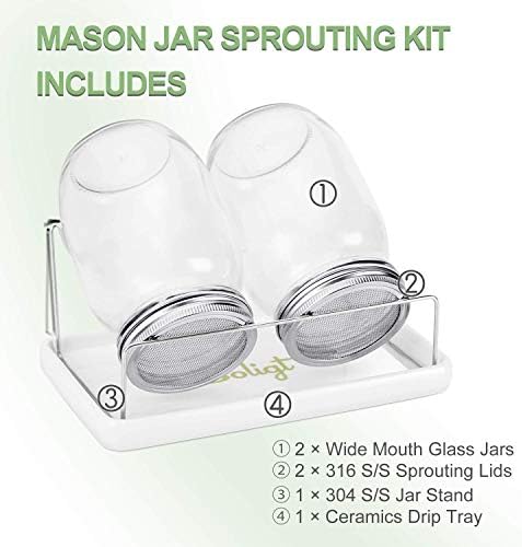 Bright Dependable Mason Jar Sprout Kit for a Lewder Wintry Sprout Journey