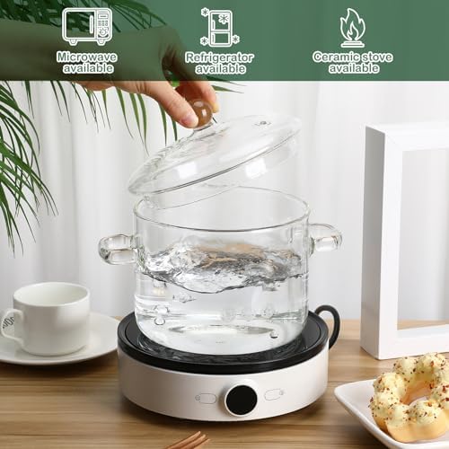 Glass Simmer Pot With Lid 19L64oz