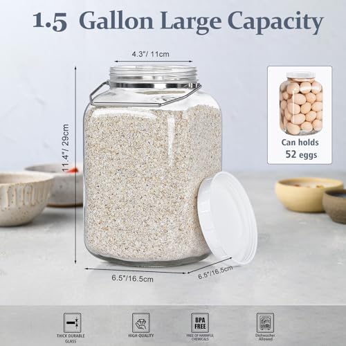 2 Pack 15 Gallon Glass Jars with Airtight Lids and Handles