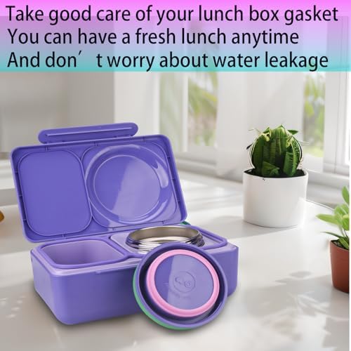Lid Seal Gasket Set for Bento Boxes