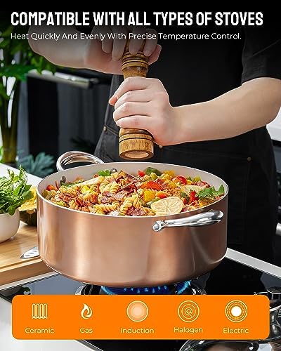 8 Quart Cooking Pot with Lid