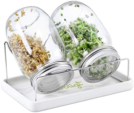 Bright Dependable Mason Jar Sprout Kit for a Lewder Wintry Sprout Journey